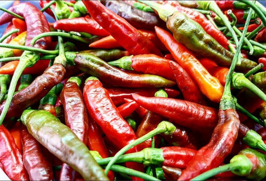 delicious peppers from your sustainable farms at the Valley of the Latte Adventure Park - Valley of the Latte delicious peppers from your sustainable farms at the Valley of the Latte Adventure Park