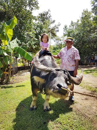 Make a wish The Valley of the Latte Adventure Park Guam Tours, Activities, Adventure