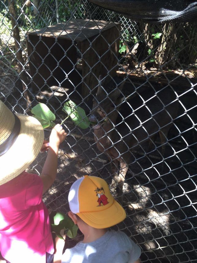 ChrisChels Explores Valley Of The Latte, Guam