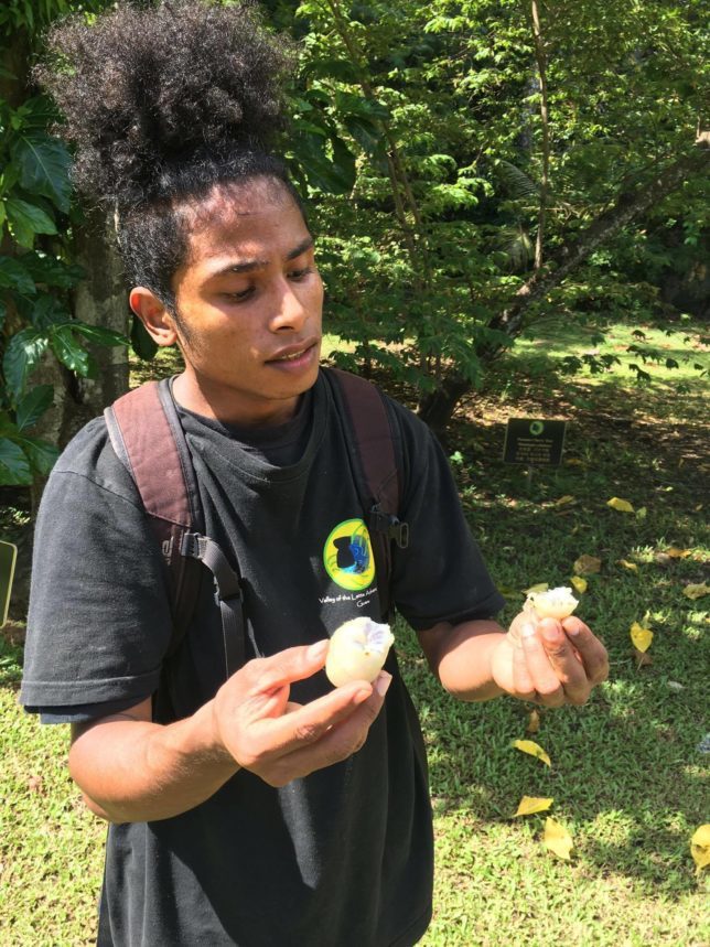 ChrisChels Explores Valley Of The Latte, Guam