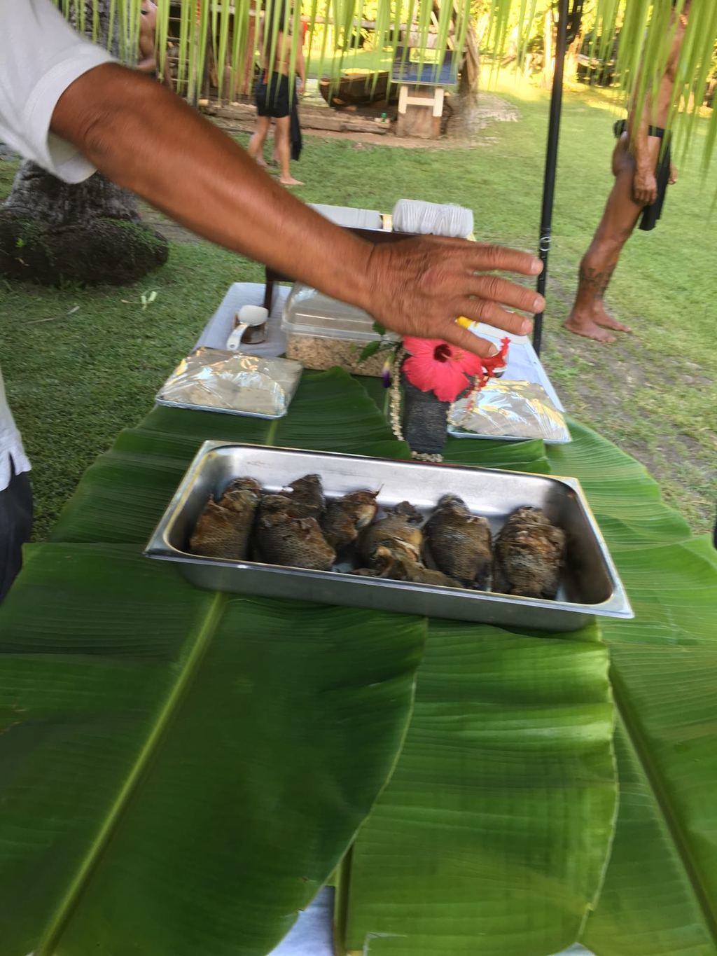 Valley of the Latte and Ulitao welcome master navigators from Yap and Hawaii. Matson Navigation - Valley of the Latte Valley of the Latte and Ulitao welcome master navigators from Yap and Hawaii. Matson Navigation