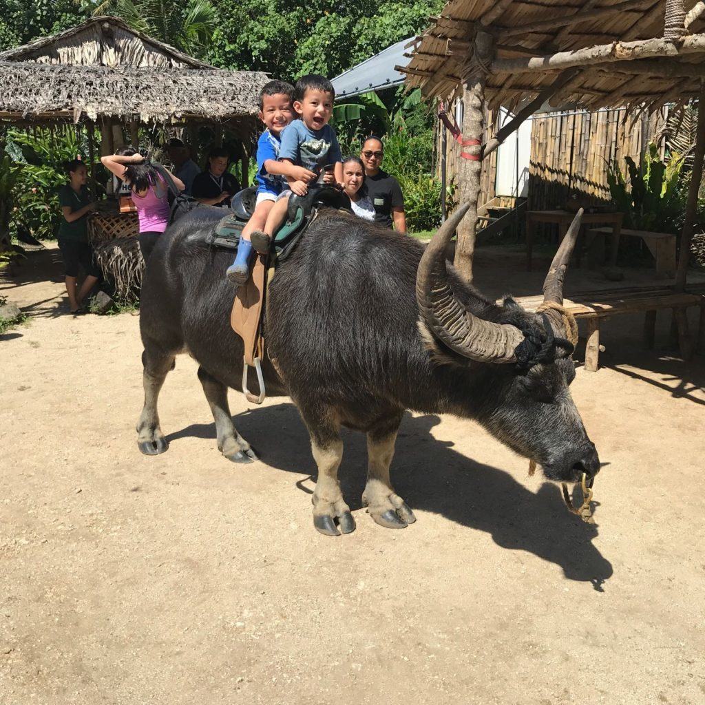 Guam, Things to Do, Karabao Rides, Activities, Tours, Valley of the Latte