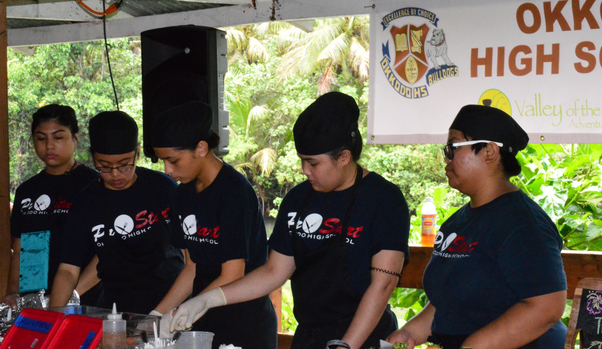 Valley of the Latte River Festival II, Guam, Festival, Events, Fun, Tours