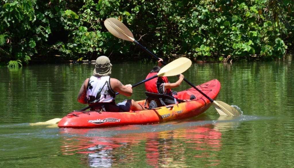 Adventure Kayaking Tours with Kids – October 11 & 12, 2025!
