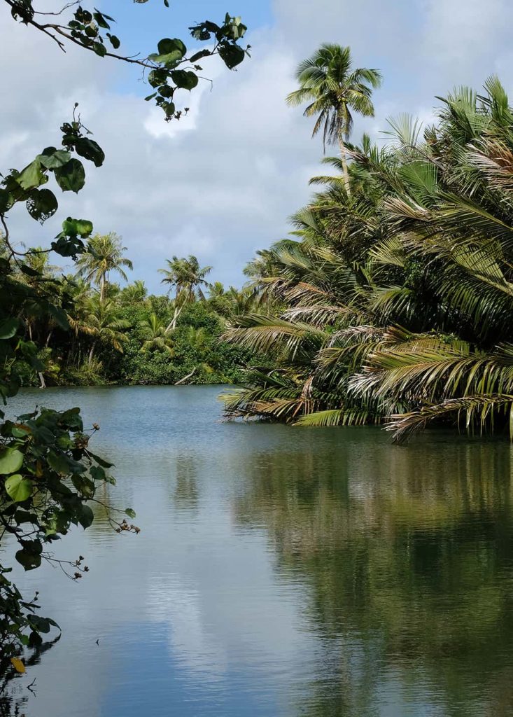 Guam's OutDoor Adventure River Cruise