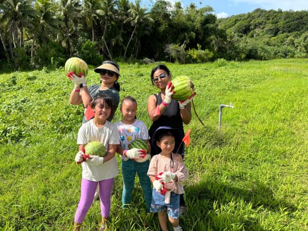Guam's Watermelon Harvest Tour