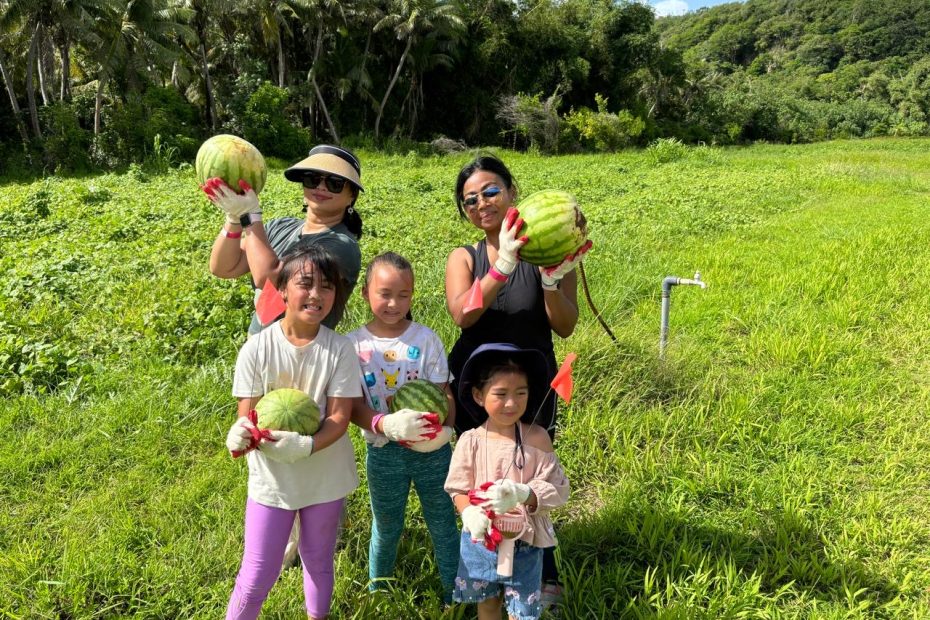 Guam's Watermelon Harvest Tour
