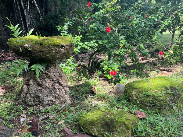 Discover the Valley of the Latte: Guam's Must-See Experience