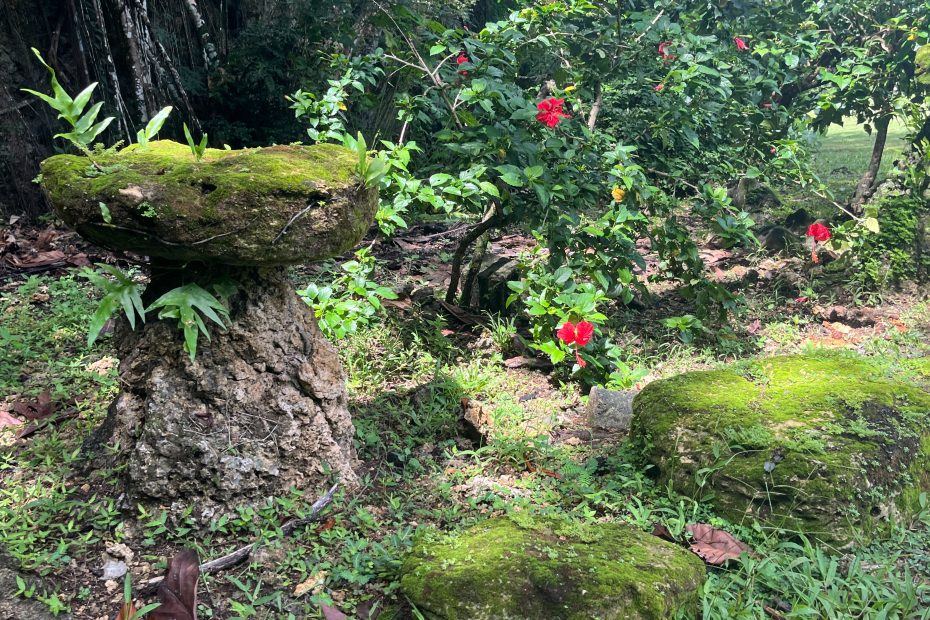 Discover the Valley of the Latte: Guam's Must-See Experience