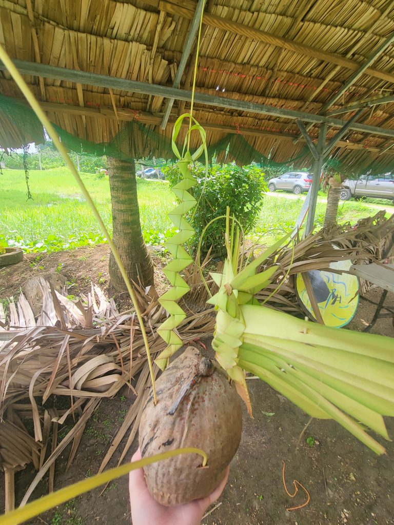 Valley of the Latte Cultural Weaving Workshops