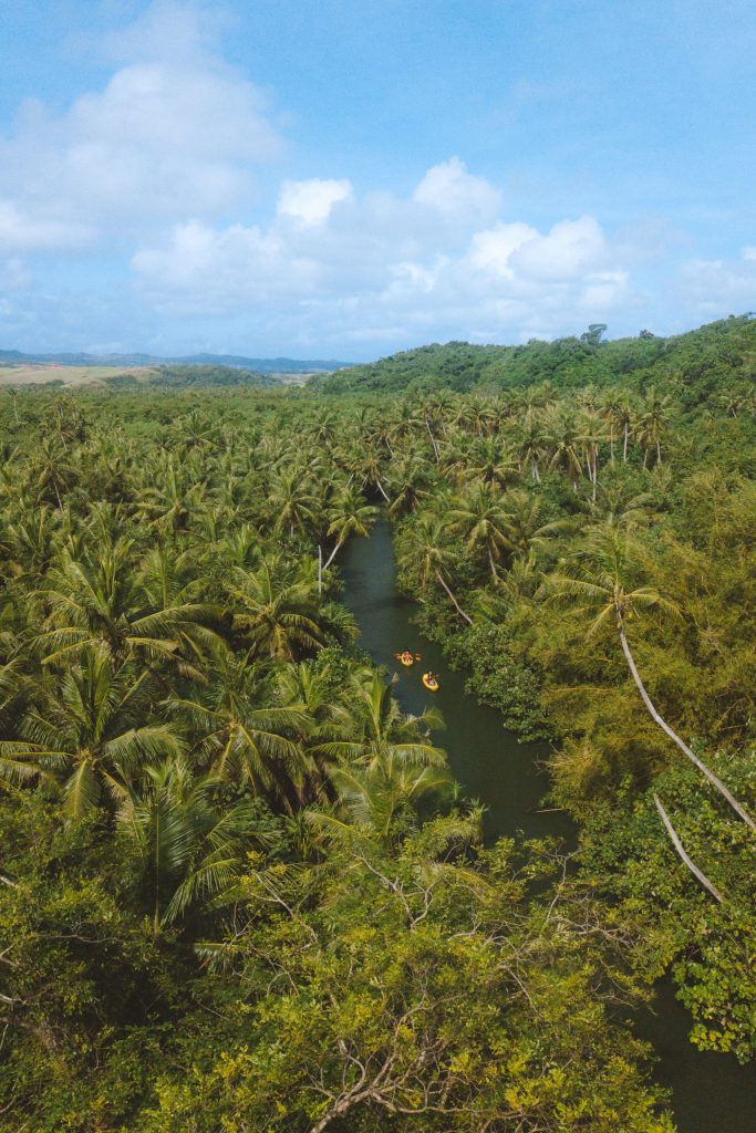 Discover the Magic of a Guided Kayaking Tour at the Valley of the Latte