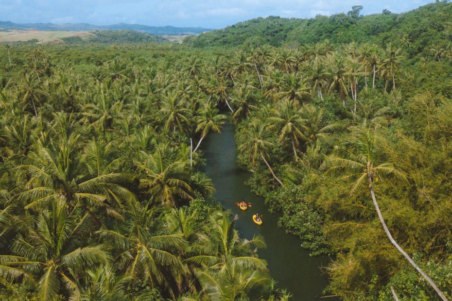 Discover the Magic of a Guided Kayaking Tour at the Valley of the Latte
