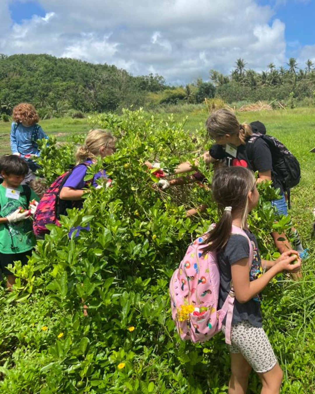 Guam Summer Culture Experience Tour 2025