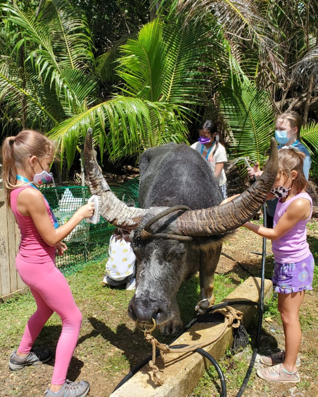 Guam Summer Culture Experience Tour 2025