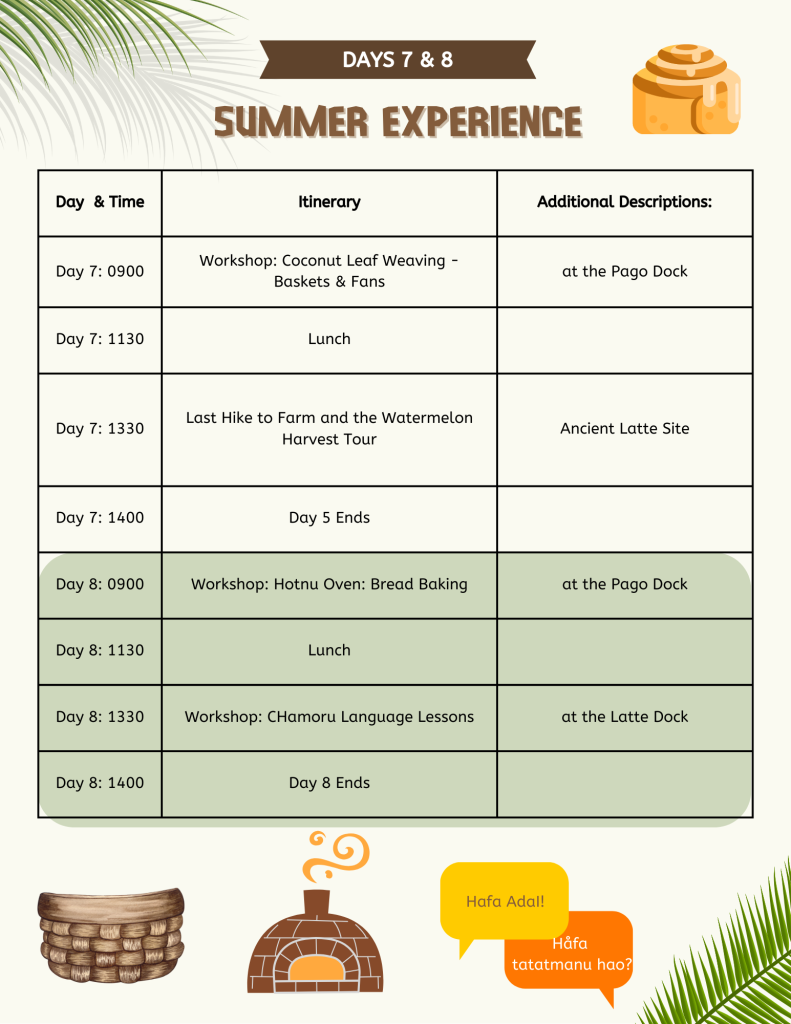 votl summer culture experience