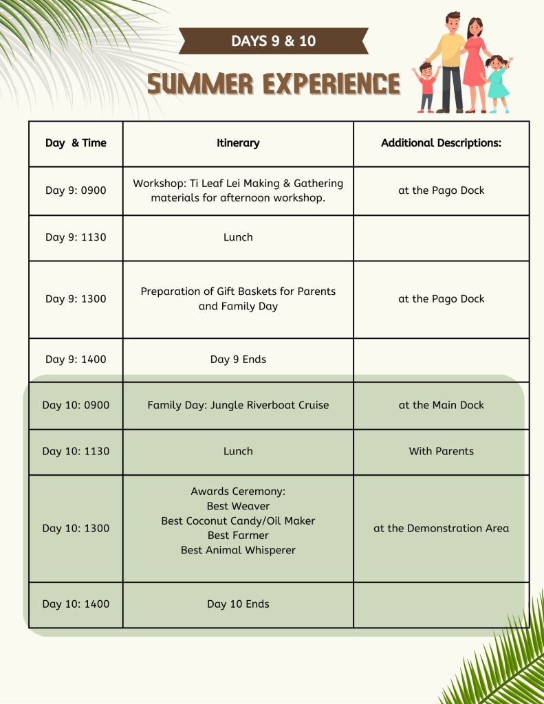 votl summer culture experience