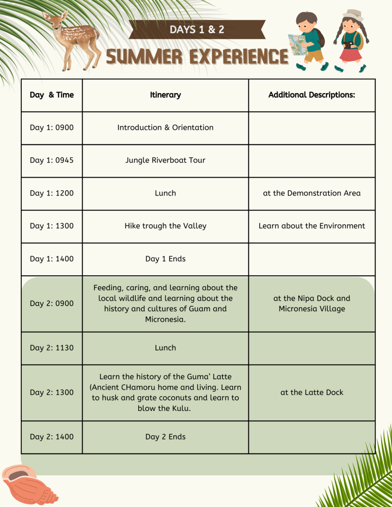 votl summer culture experience